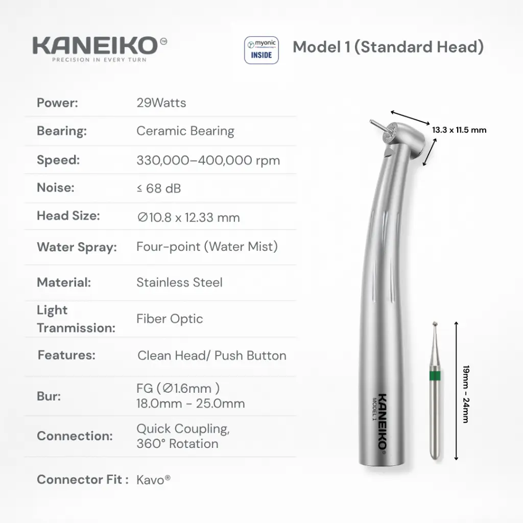 Model 1 (Details).webp